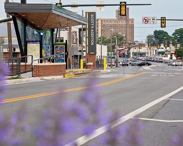 The station at Scott's Addition with lavender in the foreground