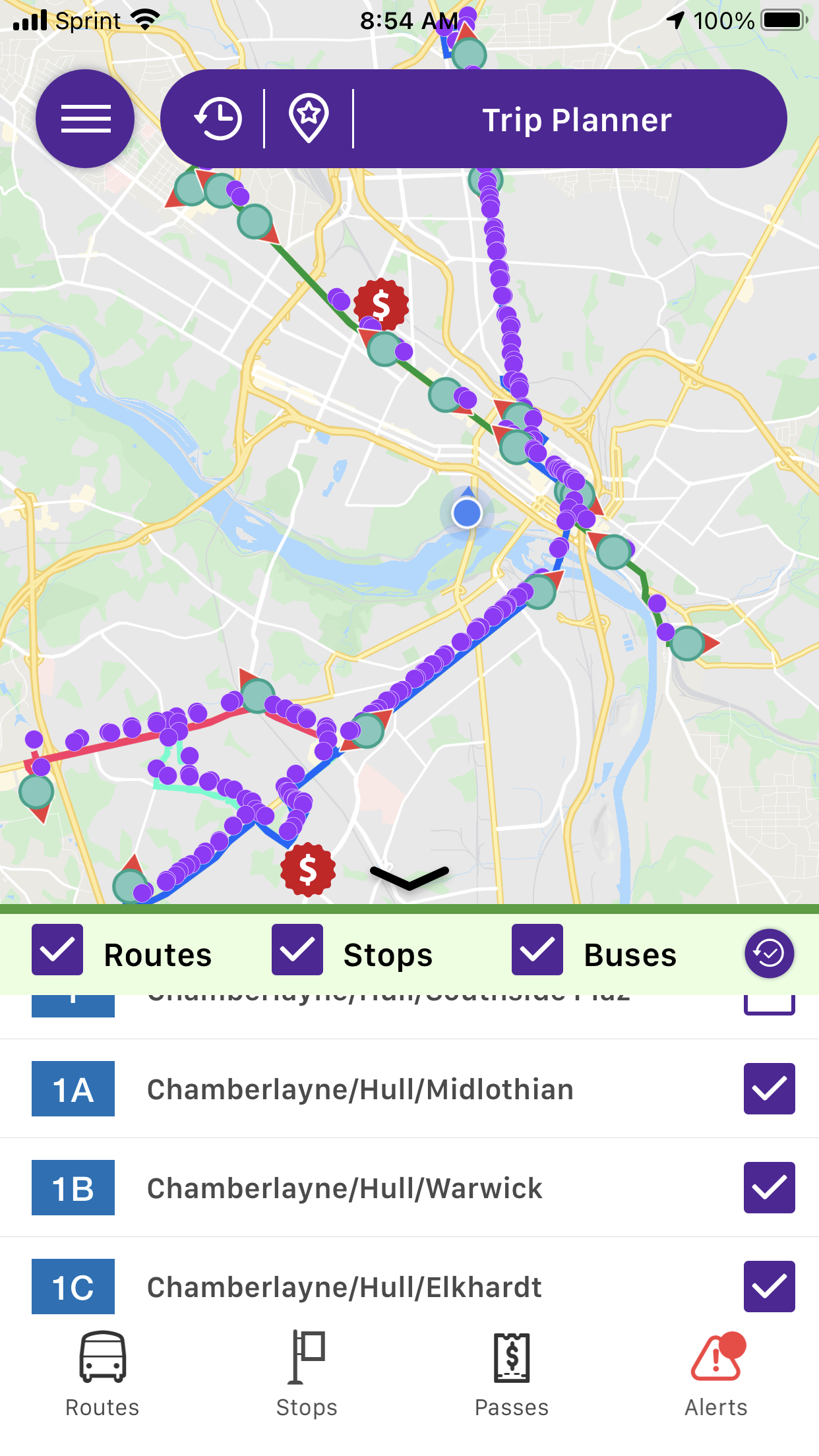 Map now showing selections with routes, stops and live buses